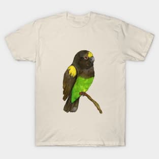 Meyer's parrot watercolor T-Shirt